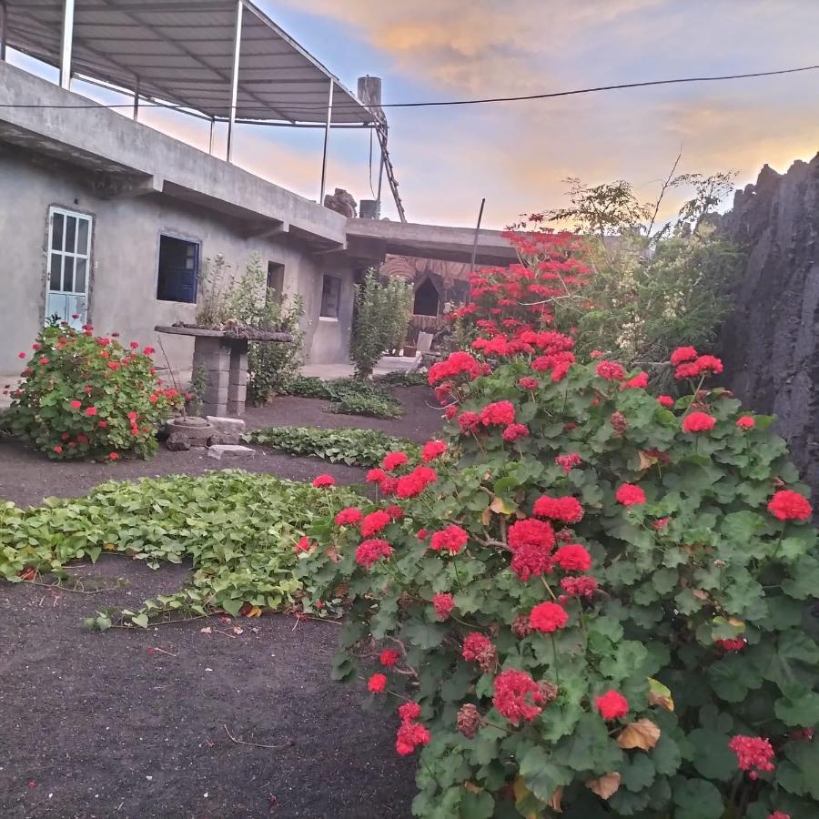 Pensao Repouso Alegre Turismo E Aventura Bed and Breakfast Portela Exteriör bild